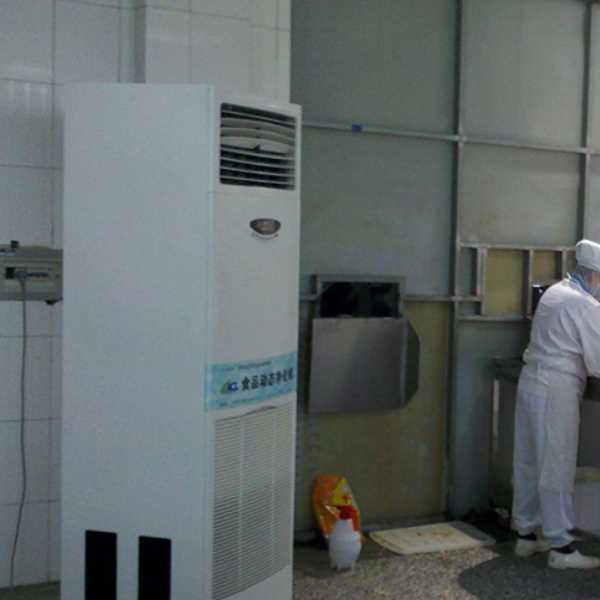 温州食品正负离子空气杀菌器